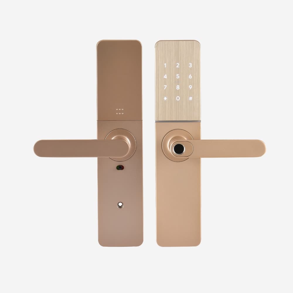 Dorset Mortise Digital door lock (DG102) Champagne